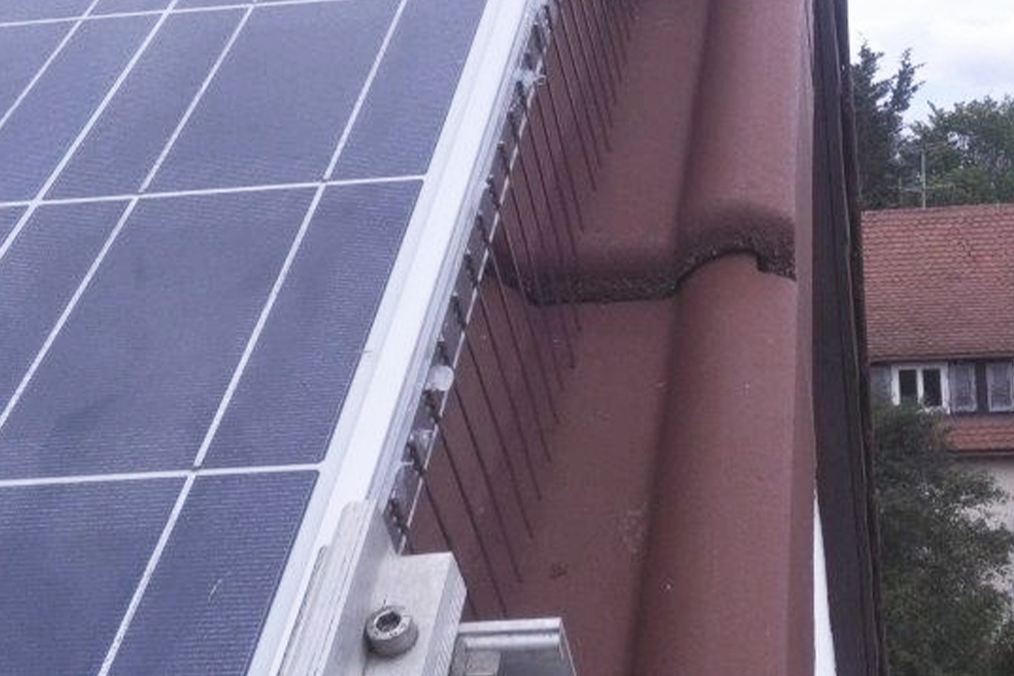 Harmuth Taubenabwehr an PV Anlagen